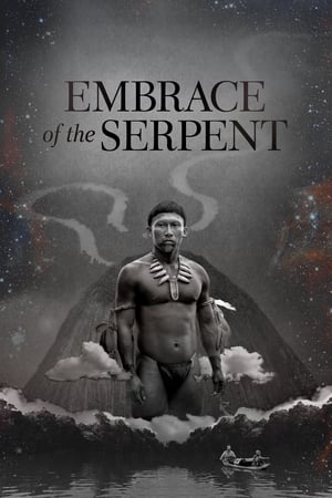 Poster Embrace of the Serpent (2015) gt