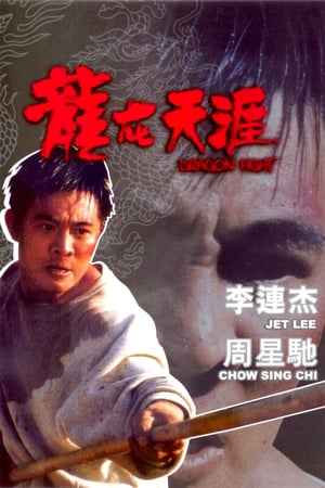 Poster Nonton Dragon Fight (1989) Sub Indo jf