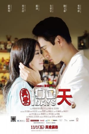 Poster 100 Days (2013)