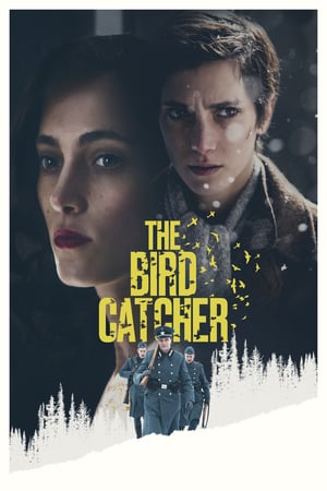 Poster The Bird Catcher