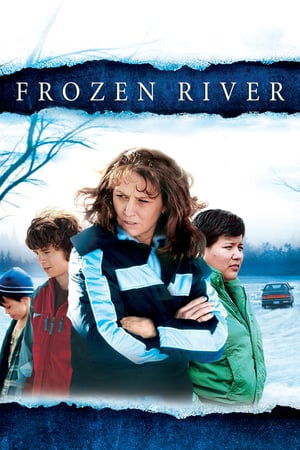 Poster Frozen River (2008) jf