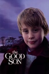 Nonton Film The Good Son (1993) Sub Indo