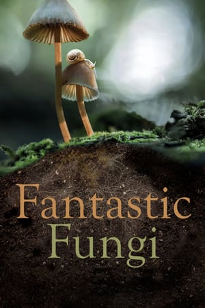 Poster Nonton Fantastic Fungi (2019) Sub Indo jf