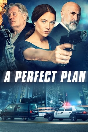 Poster A Perfect Plan (2020) jf