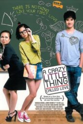 Nonton Film A Little Thing Called Love (2010) gt Sub Indo