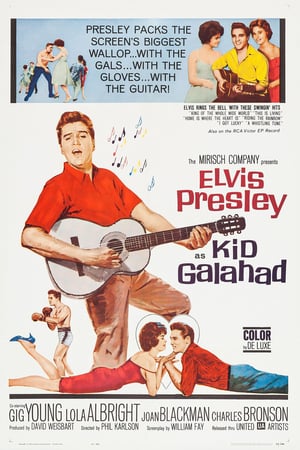 Poster Kid Galahad (1962) jf