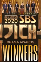 Nonton Film SBS Drama Awards (2020) Sub Indo