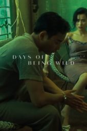 Nonton Film Days of Being Wild (1990) Sub Indo