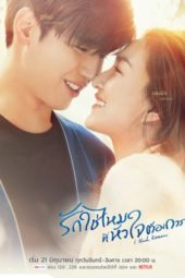 Nonton Film I Need Romance (2021) Sub Indo