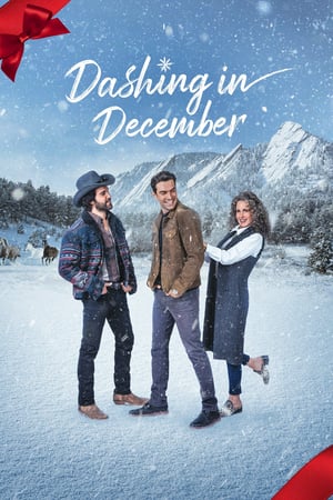 Poster Nonton Dashing in December (2020) Sub Indo jf