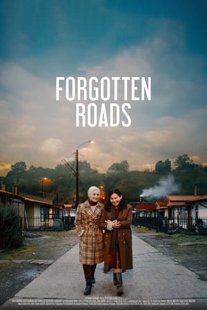 Poster Nonton Forgotten Roads (2020) Sub Indo jf