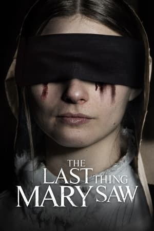 Poster Nonton The Last Thing Mary Saw (2021) Sub Indo jf