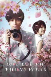 Nonton Film Love Like the Falling Petals (2022) Sub Indo