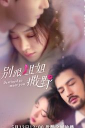 Nonton Film Destined to Meet You (2022) Sub Indo