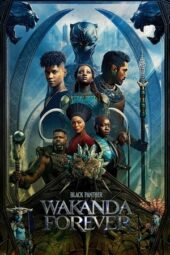 Nonton Film Black Panther: Wakanda Forever (2022) Sub Indo