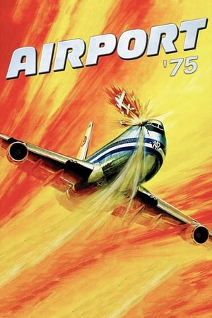 Poster Nonton Airport 1975 (1974) Sub Indo jf