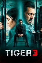 Nonton Film Tiger 3 (2023) Sub Indo