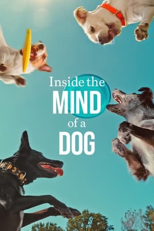 Poster Nonton Inside the Mind of a Dog (2024) Sub Indo Jf