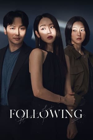 Poster Nonton Following 2024 Sub Indo