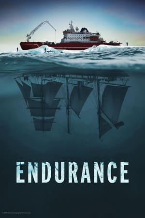 Poster Nonton Endurance 2024 Sub Indo