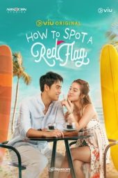 Nonton Film How to Spot a Red Flag 2024 Sub Indo